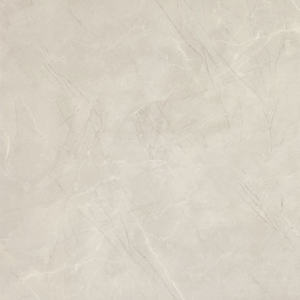 Picture of Elysium - NG Pulpis Prime 48 x 48 Light Grey Polished