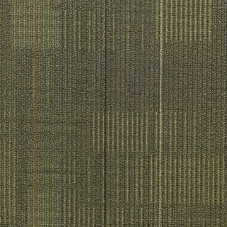 Picture of Shaw Contract - Diffuse 24 x 24 Formations