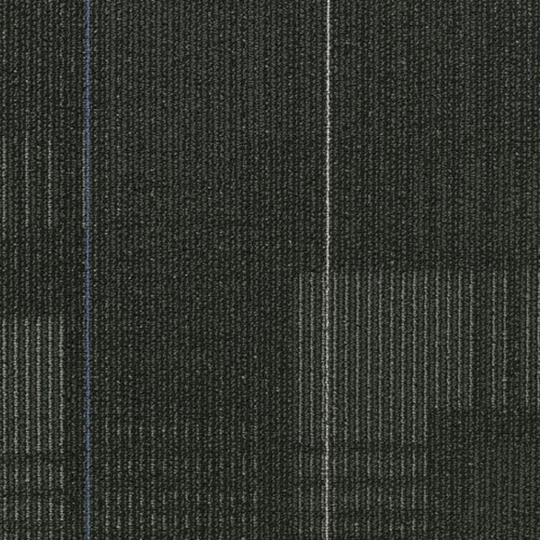 Picture of Shaw Contract - Diffuse 24 x 24 Magnetic Fields