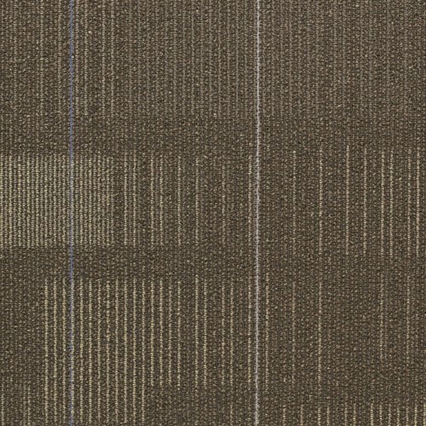 Picture of Shaw Contract - Diffuse 24 x 24 Nomad