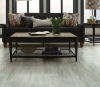 Picture of Philadelphia Commercial by Shaw - Ardent Clean Pine