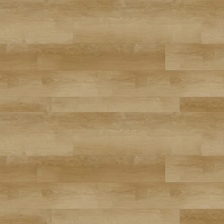 Picture of Republic - Deep Forest Light Thunder