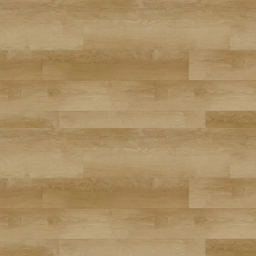 Picture of Republic - Deep Forest Light Thunder