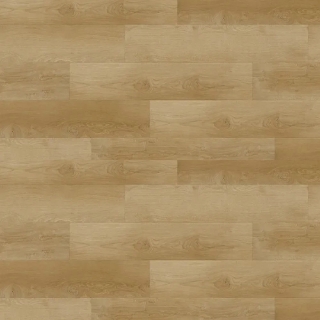 Picture of Republic - South Rose Dynasty Camel