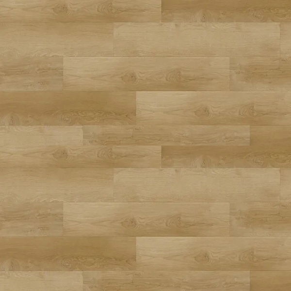 Picture of Republic - South Rose Dynasty Camel