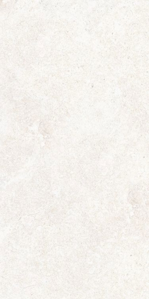 Picture of Elysium - OL Overland 12 x 24 Matte Limestone Bianco