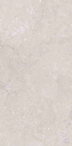 Picture of Elysium - OL Overland 12 x 24 Matte Port Land Stone Greige