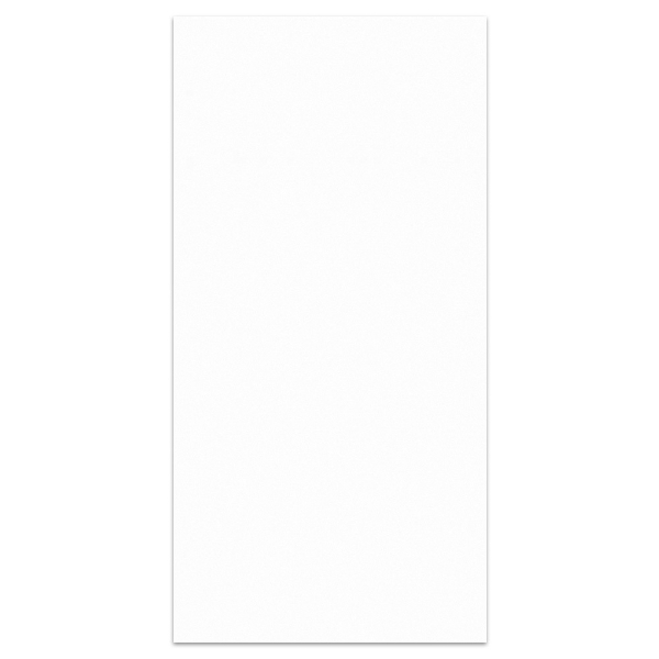 Picture of Elysium - OL Overland 12 x 24 Matte Pure White