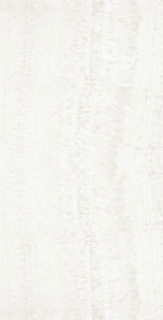 Picture of Elysium - OL Overland 24 x 48 Matte Onyx White