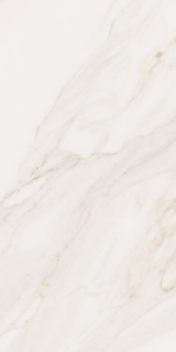 Picture of Elysium - Omnia 12 x 24 Calacatta Matte