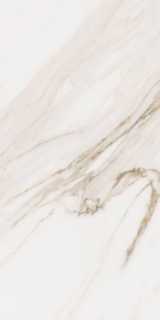 Picture of Elysium - Omnia 12 x 24 Calacatta Levigato