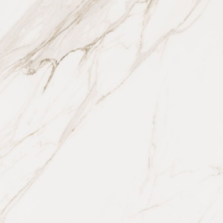 Picture of Elysium - Omnia 48 x 48 Calacatta Levigato