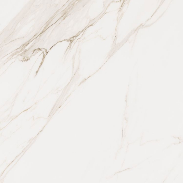 Picture of Elysium - Omnia 48 x 48 Calacatta Levigato