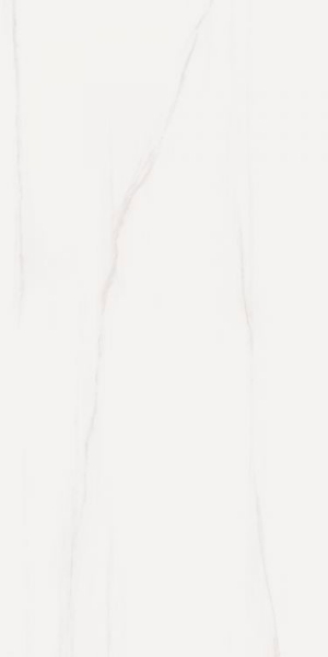 Picture of Elysium - Prestigio 12 x 24 Matte Dolomite Soft