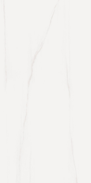 Picture of Elysium - Prestigio 30 x 60 Matte Dolomite Soft