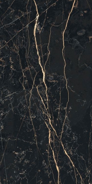 Picture of Elysium - Prexious 12 x 24 Polished Thunder Night