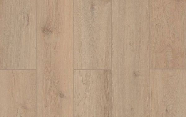 Picture of Lions Floor - Lone Star Spirit XL Sea Shell