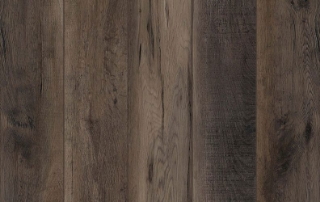 Picture of Lions Floor - Lone Star Spirit XL Ballroom Rodeo