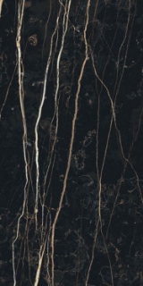 Picture of Elysium - Prexious 12 x 24 Matte Thunder Night