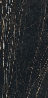 Picture of Elysium - Prexious 24 x 48 Polished Thunder Night