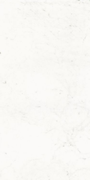 Picture of Elysium - Pure 24 x 48 Carrara Lux