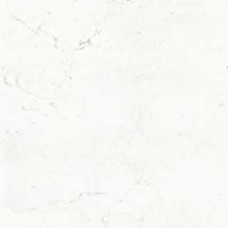 Picture of Elysium - Pure 48 x 48 Carrara Nat