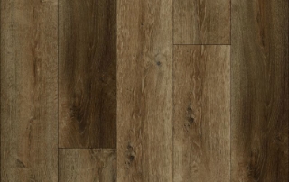 Picture of Lions Floor - District Irvine