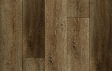 Picture of Lions Floor - District Irvine