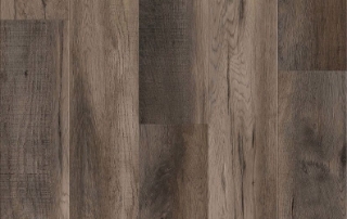 Picture of Lions Floor - District Westfield