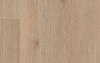 Picture of Lions Floor - District Carmel