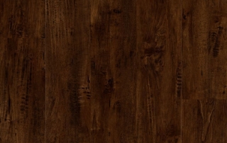 Picture of Lions Floor - District Clayton