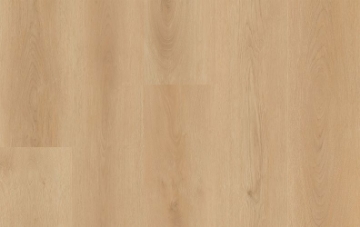 Picture of Lions Floor - District Billings