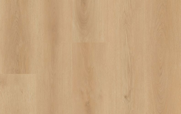 Picture of Lions Floor - District Billings