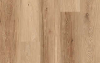 Picture of Lions Floor - District Brighton