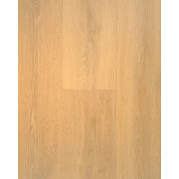 Picture of Stanton - Adirondacks Wheat