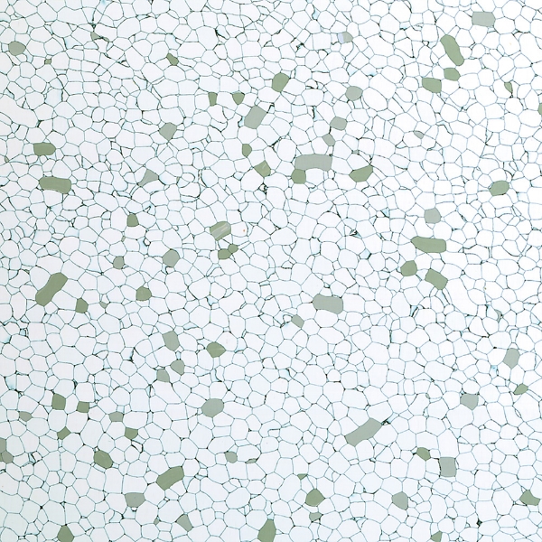 Picture of Roppe - ESD Static Control Dissipative 12 X 12 Neutron