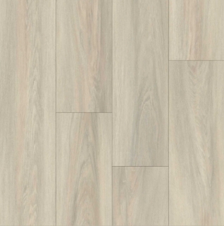 Picture of Happy Feet Intl. - Broadway Queensberry