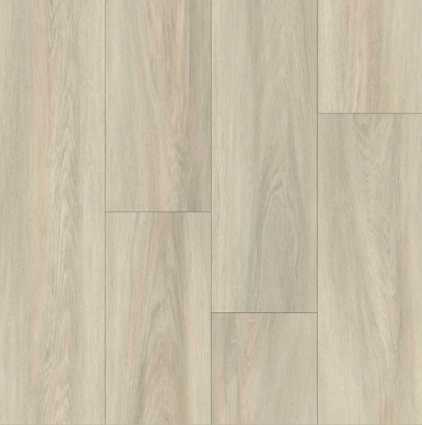 Picture of Happy Feet Intl. - Broadway Queensberry