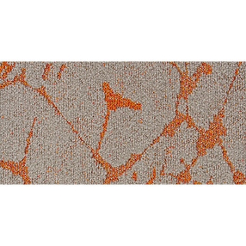 Picture of Mannington Commercial - Intertwine Optimism