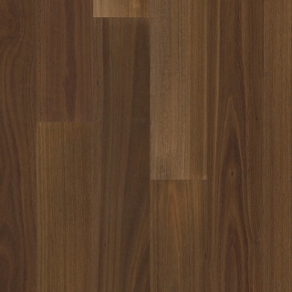 Picture of Anderson - Valencia Walnut Raw Umber
