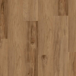 Picture of Shaw Floors - Ignite Torchwood