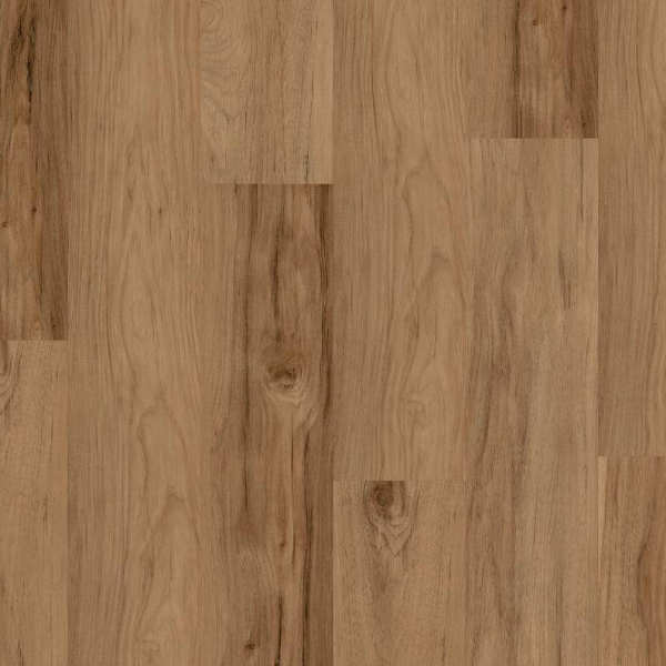 Picture of Shaw Floors - Ignite Torchwood