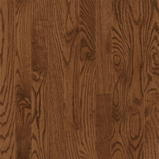 Picture of Bruce - Manchester Strip 2 1/4 Saddle