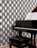 Picture of Bisazza Mosaico - Decori 20 - Alternance Noir Blanc