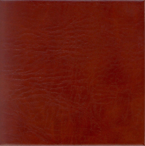 Picture of EcoDomo - Echelon Tile 18x18 Chestnut Buffalo