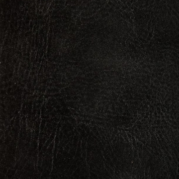 Picture of EcoDomo - Echelon Tile 18x18 Ebony Buffalo