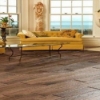Picture of Chesapeake Flooring - Waycross Wood Chip