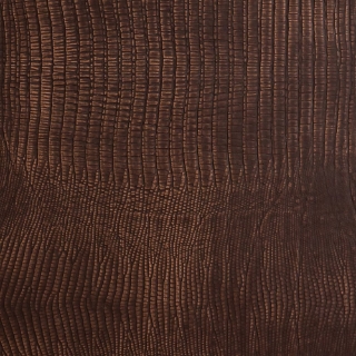 Picture of EcoDomo - Rainforest Planks Mini Gator Sienna