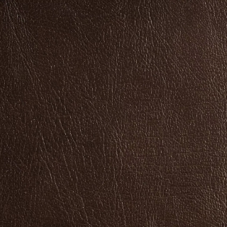 Picture of EcoDomo - Rainforest Planks Grizzly Sable