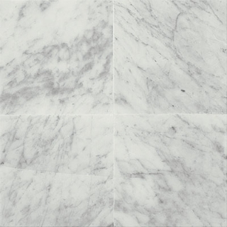 Picture of Daltile - Marble 12 x 12 Polished Carrara White